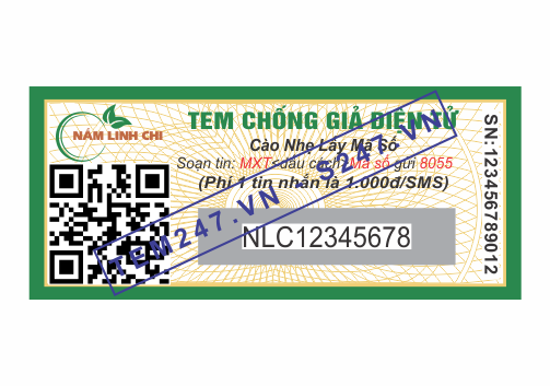 MS043 - Tem Nấm Linh Chi kích cỡ 1.5x3